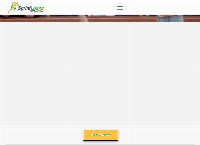 Sprint Loans's website