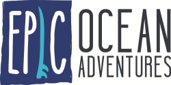 Epic Ocean Adventures Rainbow Beach Tours