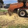Uploaded by visitor on 25/1/2018 - hedge trimming sydney