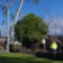 Uploaded by visitor on 25/1/2018 - stump removal