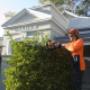 Uploaded by visitor on 25/1/2018 - tree removal sydney
