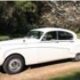Classic cars