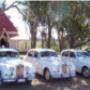 Wedding Cars