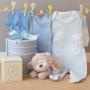 Boys Cheeky Monkey baby Hamper