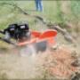 Sunshine Coast Tree Lopping Caloundra