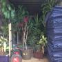 Uploaded by visitor on 20/2/2018 - Removalist Gold Coast