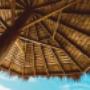 Exotic Thatch
