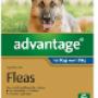 Advantage for Dog