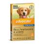 Advocate for dogs