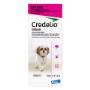 Credelio Dogs