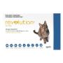 Revolution Cats