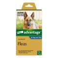Advantage For Extra Large Dogs Over 25Kg Blue