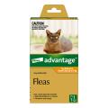 Advantage For Kittens & Small Cats Up To 4Kg (Orange) | VetSupply