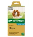 Advantage For Medium Dogs