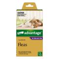 Advantage For Cats Over 4Kg (Purple) | VetSupply