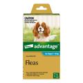 Advantage For Medium Dogs 4 To 10Kg (Aqua) | VetSupply