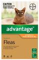 Advantage for Cats & Kittens - Advantage Flea Control