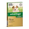 Advantage for Dogs - Advantage Flea Control