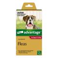 Advantage For Large Dogs 10 To 25Kg (Red) | VetSupply