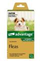 Advantage For Dogs and Cats