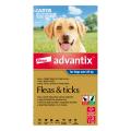 Advantix For Extra Large Dogs Over 25Kg Blue
