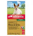 Advantix For Small Dogs