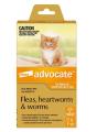 Advocate For Kittens and Small Cats Up To 4Kg