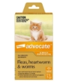 Advocate For Cats