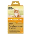 Black Friday Sale on Advocate For Cats