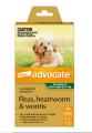 Advocate For Small Dogs up to 4 kg
