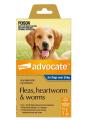 Advocate For Extra Large Dogs Over 25 Kg