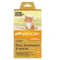Advocate For Kittens & Small Cats Up To 4Kg (Orange)