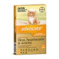 Christmas Special Deals | Advocate - Flea, Heartworm & Intestinal Worm Treatment for Cats