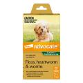 Advocate for Dogs | Flea, Heartworm & Worm Treatment | VetSupply