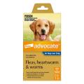 Advocate for Dogs Extra Large Blue Over 25 Kg 1 Dose | VetSupply