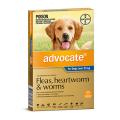 Advocate for Dogs - Flea, Heartworm & Worm Treatment
