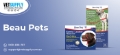 Ensure Safe Travels with Beau Pets Car Harness