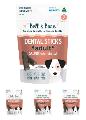 Bell and Bone Dental Sticks Salmon Mint & Charcoal For Dogs