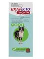 Bravecto 1 Month Chew for Dogs 10-20 Kg