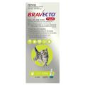 Bravecto Plus Cats - Fleas Ticks Heartworm Roundworm Hookworm And Ear Mites