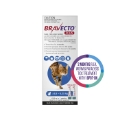 Bravecto Plus for Medium Cats 2.8 – 6.25 kg