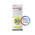 Bravecto Plus for Small Cats 1.2 – 2.8 kg