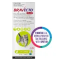 Bravecto Plus for Small Cats 1.2 – 2.8 kg