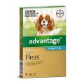 Buy Advantage Flea Control for Cats and Dogs Online | VetSupply