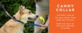 Canny Collar for Dogs