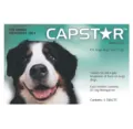 Capstar For Large Dogs over 11Kg