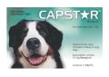 Capstar For Large Dogs over 11Kg