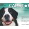 Capstar-For-Large-Dogs