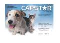 Capstar For Dogs and Cats