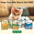 Buy Cat Supplies | Cat Accessories online | Free Shipping